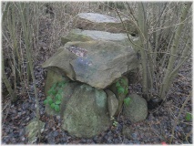 Wassersleben Steingrab - PID:53401