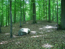 Raisdorf Huegelgrab - PID:39352