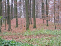Schoenberg Grabhuegelgruppe - PID:34950