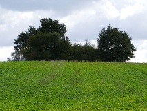 Suehlen Huegelgrab - PID:33041