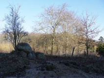 Wildenhorst Steingrab - PID:102951