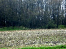 Hemdingen Huegelgraeberfeld - PID:75627