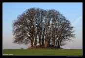 Grabau Grabhuegelgruppe