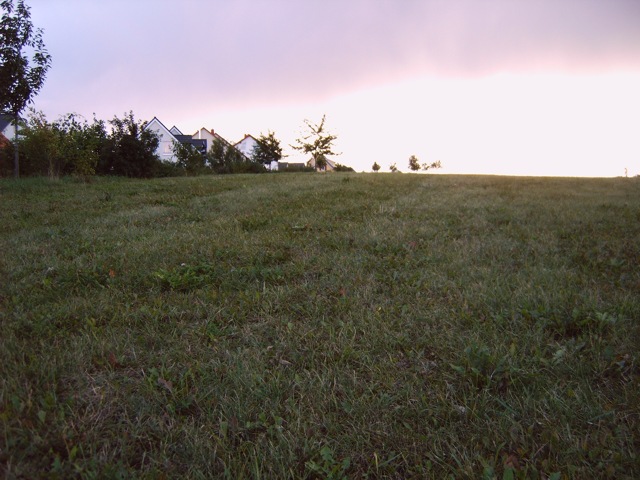 Ringelberg Hügelgräber (PID:16678) Ringelberg Hügelgräber