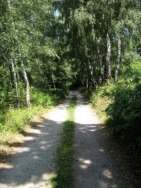 Suhler Leube (PID:49564) Suhler Leube