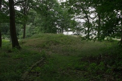 Lohholz - PID:91597