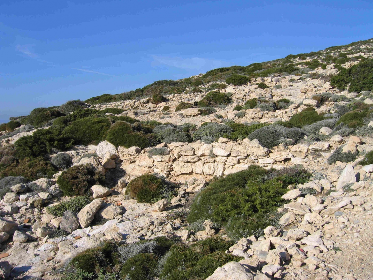 Vroulia (PID:238005) Vroulia