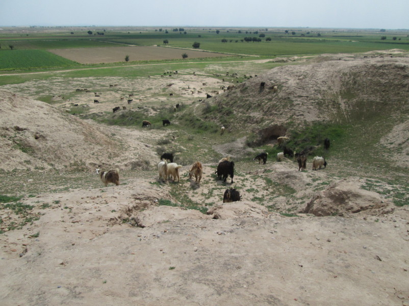 Click for full size image of Chogha Mish (PID:119057) Chogha Mish