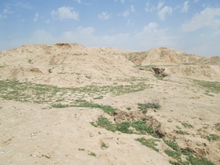 Click for full size image of Chogha Mish (PID:119064) Chogha Mish