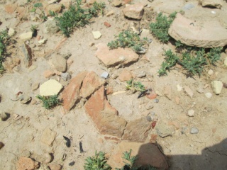 Click for full size image of Chogha Mish (PID:119059) Chogha Mish
