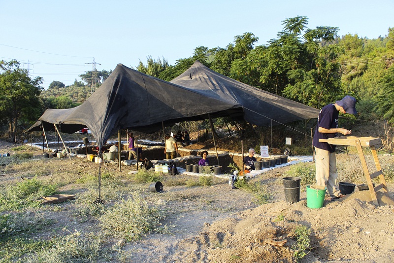 Ein el-Jarba (PID:122154) Ein el-Jarba