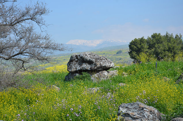 Click for full size image of Engraved dolmen near Kibbutz Shamir (PID:162715) Engraved dolmen near Kibbutz Shamir