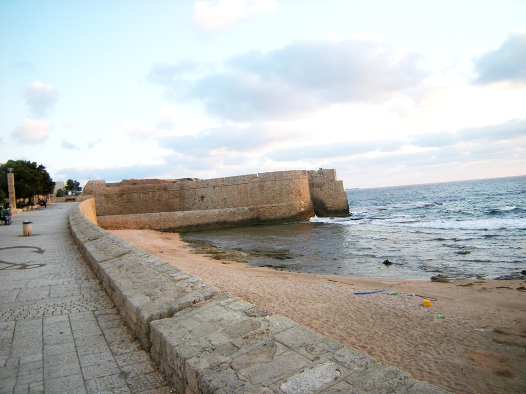 Ancient Acre (PID:133965) Ancient Acre
