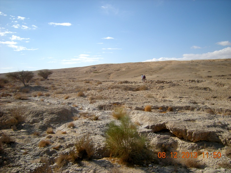 Ramat Tsofar early Islamic settlement 