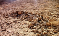 Wadi Anaka Habitation site & Predators Trap