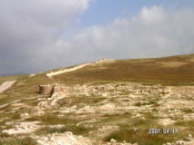 tel 'Arad - PID:28911