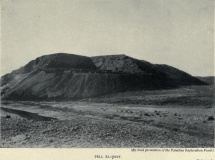 Tel El-Hesi - PID:100604