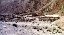Wadi Anaka Habitation site & Predators Trap
