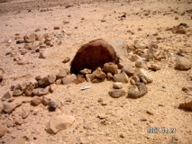 wadi Paran - PID:29330