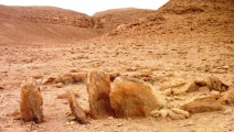wadi 'Oded