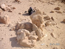 Wadi Betamim Matseboth - PID:60929