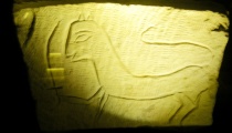 Click for full size image of Ancient Acre (PID:134002) Ancient Acre