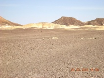 East Upper Wadi Paran Matseboth - PID:60360