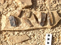Wadi 'Isaron - PID:64423