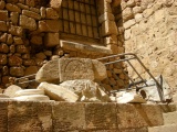 Click for full size image of Ancient Acre (PID:134036) Ancient Acre