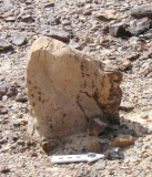 Meshar-Hadav Matseboth - PID:66942