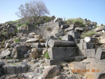 Sussita - PID:86694