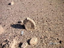 North of Wadi Tzikhor camp site  - PID:59404