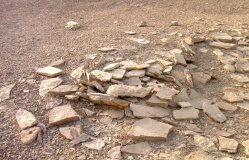 North of Netafim spring - PID:64556
