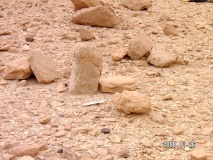 Upper Wadi Racham Camp  - PID:60660