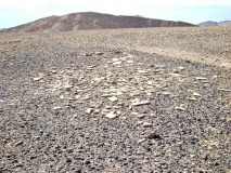 S' of wadi 'Eteq - PID:63358