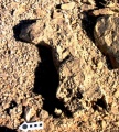 Click for full size image of Grofit hights (PID:153876) Grofit hights