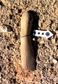 Click for full size image of Grofit hights (PID:153885) Grofit hights
