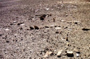 Click for full size image of Grofit hights (PID:153887) Grofit hights