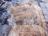 Ancient Farm near Rosh Ha'ayin  