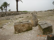 Megiddo - PID:86586