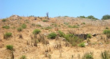 Click for full size image of Tel Afek (PID:133899) Tel Afek