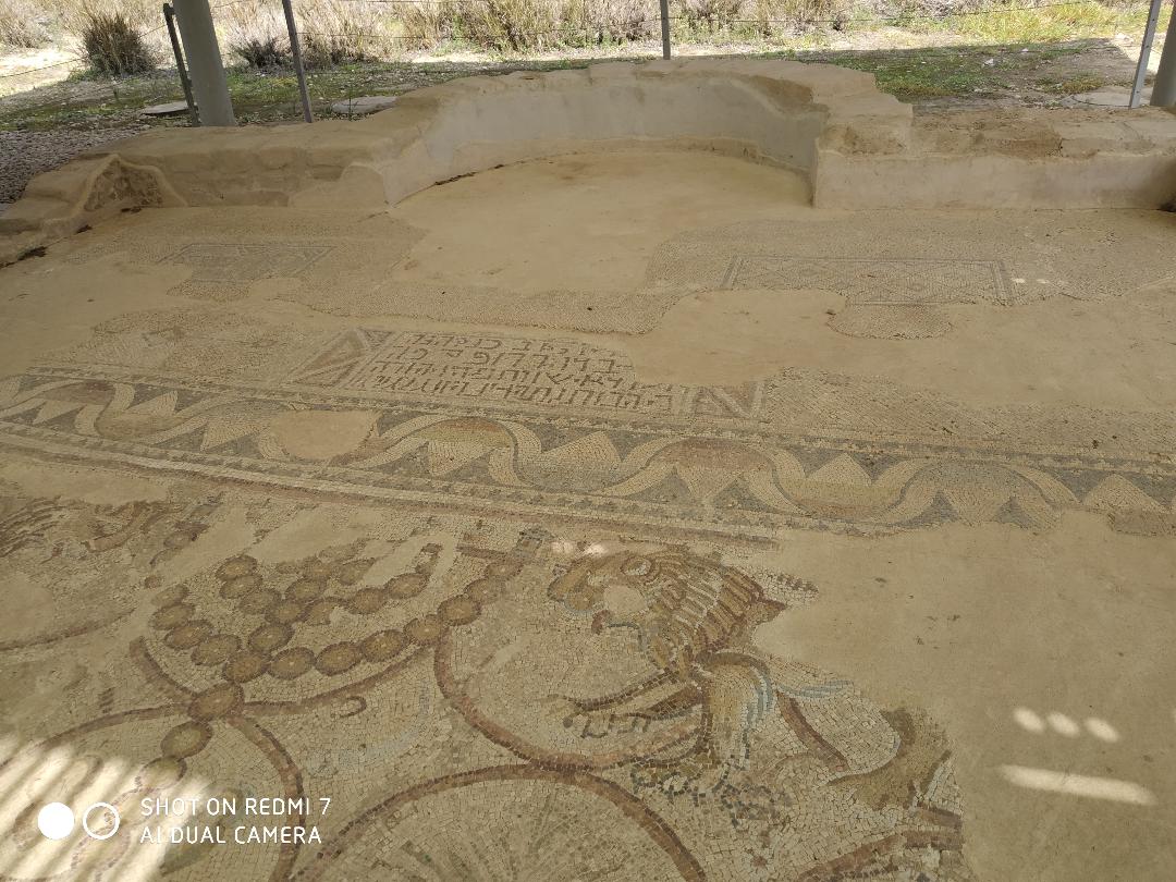 Ma'on synagogue (PID:223467) Ma'on synagogue