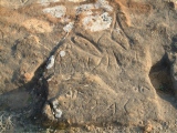 Rawdah Rock carving (4)