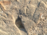 Rawdah Rock carving (5)