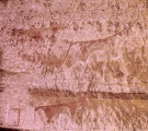 Wadi Rum Engravings