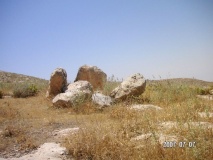 Dolmens at Wadi Jadid - PID:59791