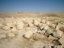 Mukawir - PID:66651