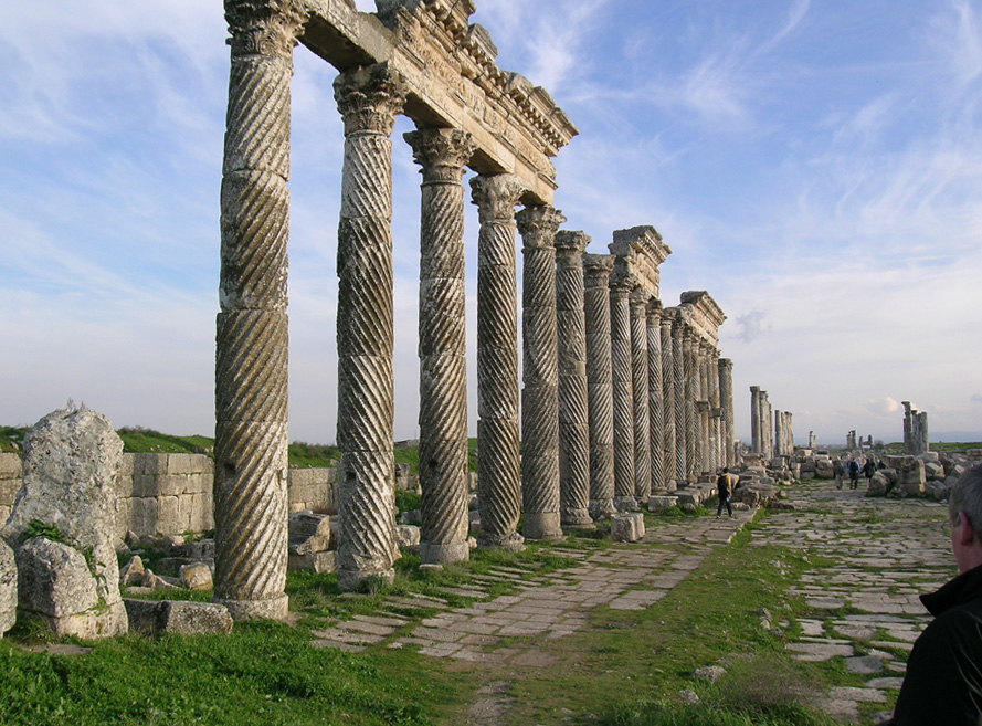 Click for full size image of Apamea (PID:107981) Apamea