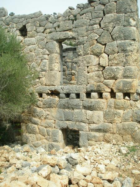 Click for full size image of Pydnai (PID:148557) Pydnai