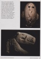 Click for full size image of Göbekli Tepe (PID:201376) Göbekli Tepe